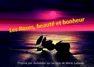 les_roses_beaute_et_bonheur_jackdidier