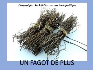 un_fagot_de_plus_jackdidier