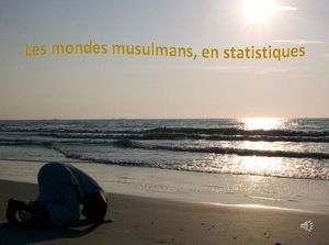 mondes_musulmans_en_statistiques_reginald_day