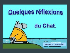 quelques_reflexions_du_chat_papiniel
