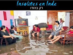 insolite_en_inde