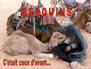les_nouveaux_bedouins