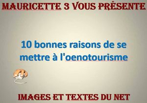10_bonnes_raison_de_se_mettre_a_l_oenotourisme_mauricette3