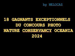 18_gagnants_exceptionnels_du_concours_photo_nature_conservancy_oceania_2024_nelocas