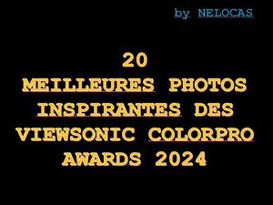 20_meilleures_photos_awards_2024_nelocas