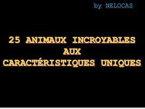 25_animaux_incroyables_aux_caracteristiques_uniques_nelocas