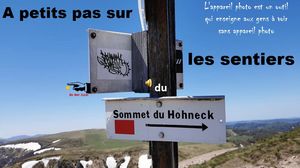 a_petits_pas_sur_les_sentiers_du_hohneck__roland