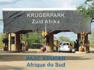 afrique_du_sud_le_parc_kruger
