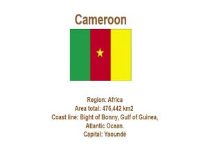 afrique_le_cameroun