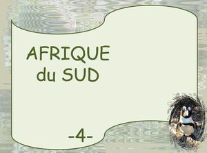 afrique_sud_4_autour_du_cap_marijo