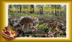 allons_cueillir_des_champignons__gilianne