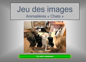 animaux_chats_charles_r