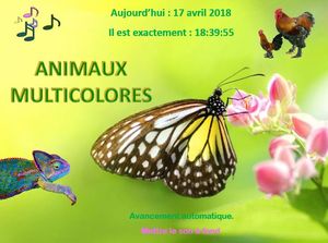 animaux_multicolores_chantha
