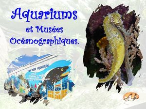 aquariums_et_musees_oceanographiques__p_sangarde