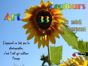 art_et_couleurs_33_le_soleil_de_tournesol__roland