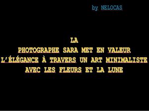 art_minimaliste_avec_les_fleurs_et_la_lune_nelocas