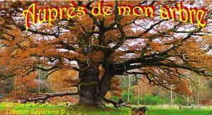 aupres_de_mon_arbre_apex