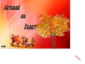 automne_en_foret__dede_51