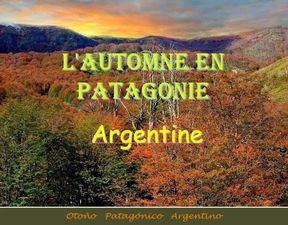 automne_en_patagonie