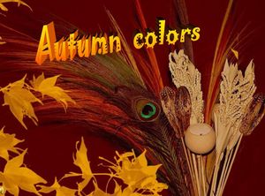 autumn_colors_stellinna