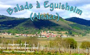 balade_a_eguisheim_alsace_apex