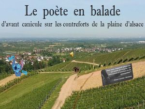 balade_d_avant_canicule_sur_les_contreforts_de_la_plaine_d_alsace__roland