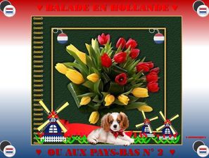 balade_en_hollande_ou_aux_pays_bas_2_fabie_10_18