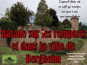 balade_sur_les_remparts_et_dans_la_ville_de_bergheim__roland