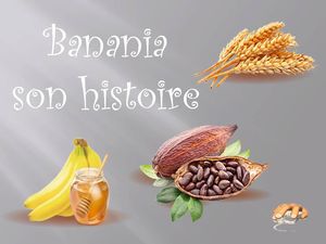 banania_son_histoire_p_sangarde