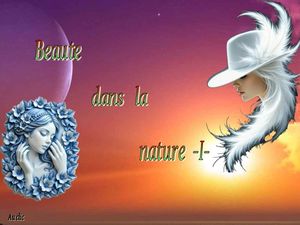 beaute_dans_la_nature_1__dede_51