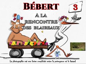 bebert_a_la_rencontre_des_blaireaux__roland