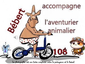 bebert_accompagne_l_aventurier_animalier__roland
