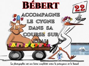 bebert_accompagne_le_cygne_dans_sa_course_sur_l_eau__roland