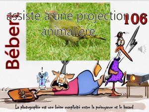 bebert_assiste_a_une_projection_animaliere__roland