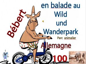bebert_en_balade_au_wild_und_wanderpark__roland