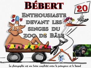 bebert_enthousiaste_devant_les_singes_du_zoo_de_bale__roland