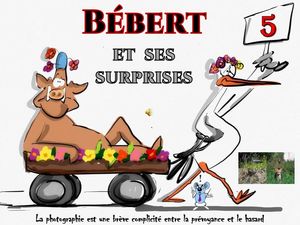 bebert_et_ses_surprises__roland