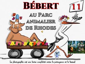 bebert_flanant_au_parc_animalier_de_rhodes__roland