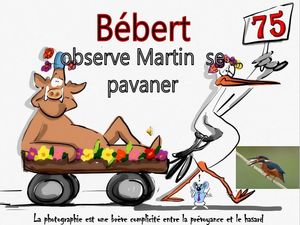 bebert_observe_martin_se_pavaner__roland