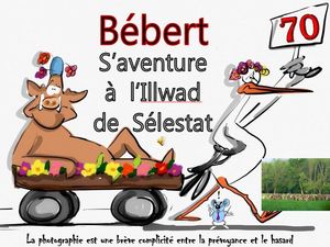 bebert_s_aventure_a_illwald_de_selestat__roland