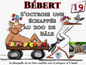 bebert_s_octroie_une_incursion_au_zoo_de_bale__roland