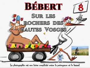 bebert_sur_les_rochers_des_hautes_vosges__roland