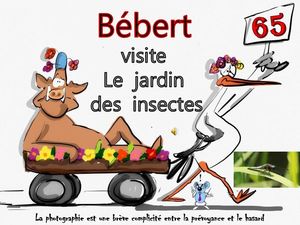 bebert_visite_le_jardin_des_insectes__roland