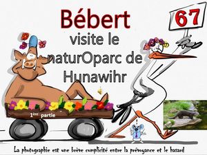 bebert_visite_le_naturoparc_de_hunawihr_1__roland