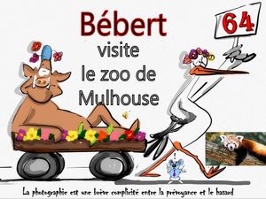 bebert_visite_le_zoo_de_mulhouse__roland