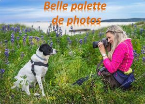 belle_palette_de_photos_by_ibolit