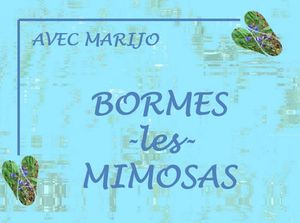 bormes_les_mimosas_marijo