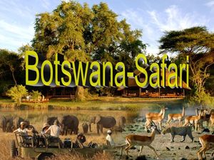 botswana_savari
