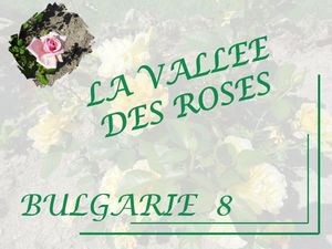 bulgarie_8_vallee_des_roses_marijo
