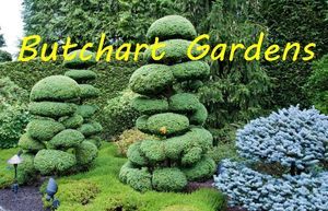 butchart_gardens_by_ibolit